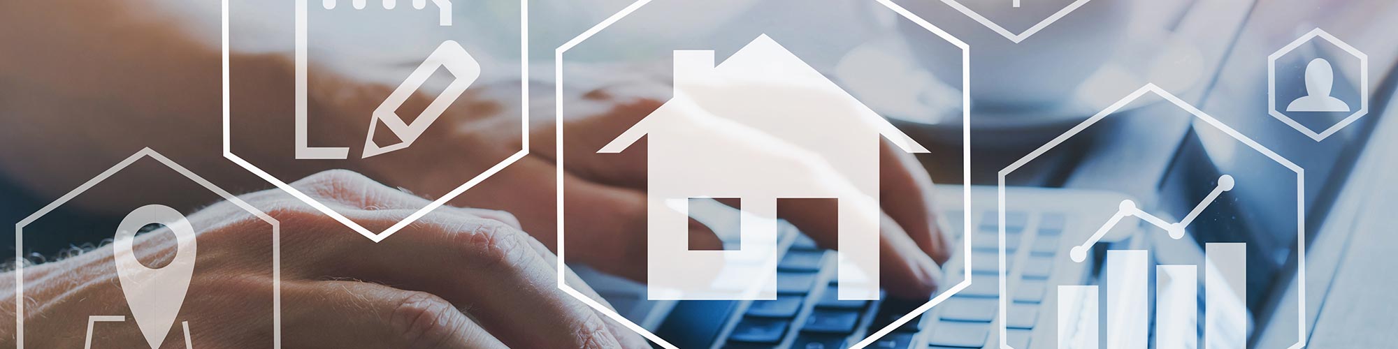 Real Estate Investor