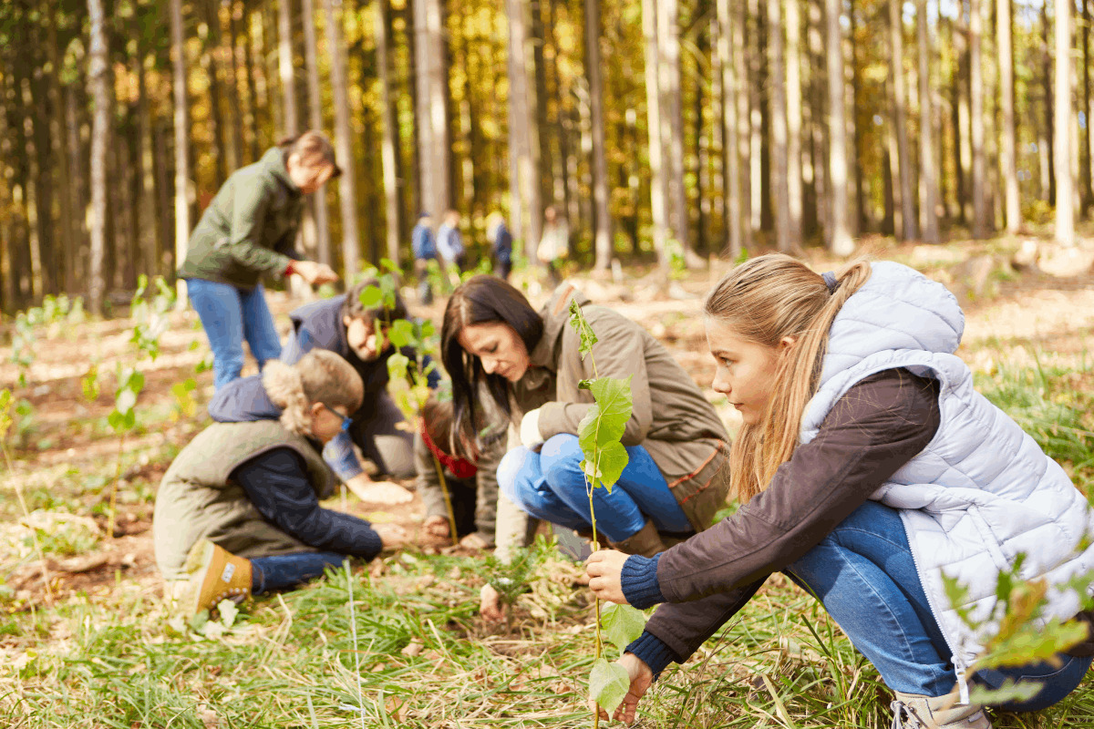 Conservationism Vs Environmentalism What Similarities And Conservationism Vs Environmentalism What Similarities And