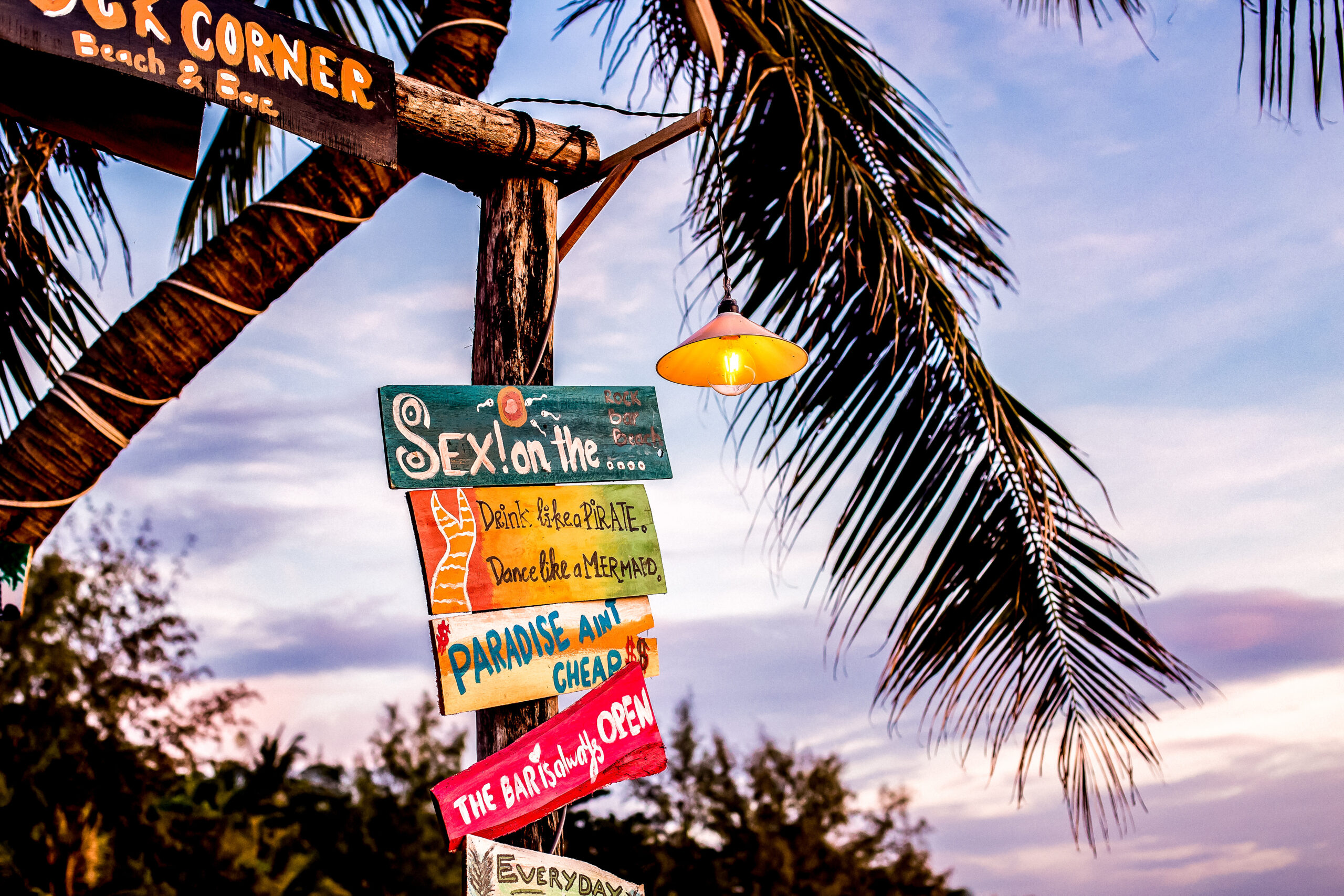 Palm tree on the beach with sign. Beach cafe at sunset